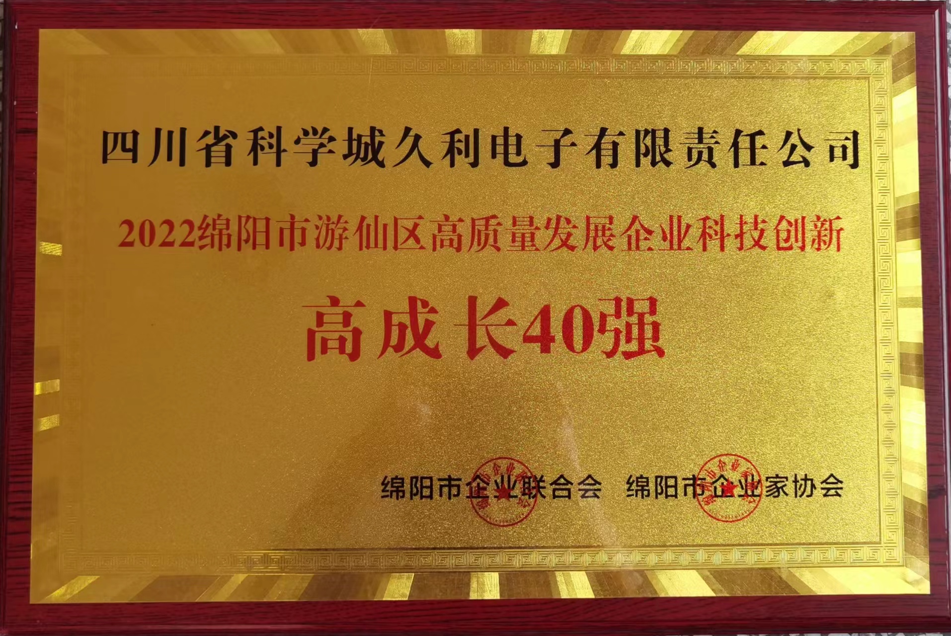 2022-高成长40强（绵阳市游仙区）